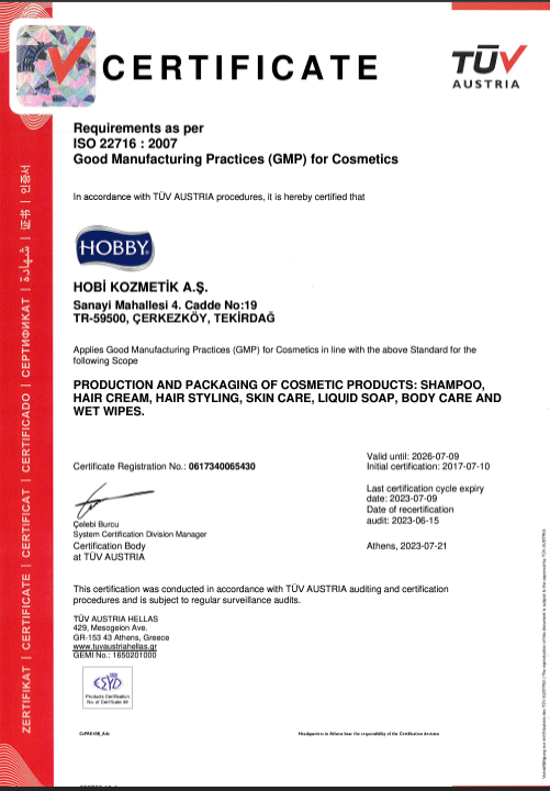 ISO 22716 GMP