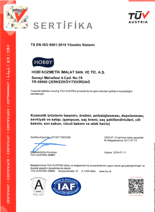 ISO 9001 2015 QMS