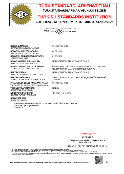 TSE 09.01.2025 Son Geçerlilik